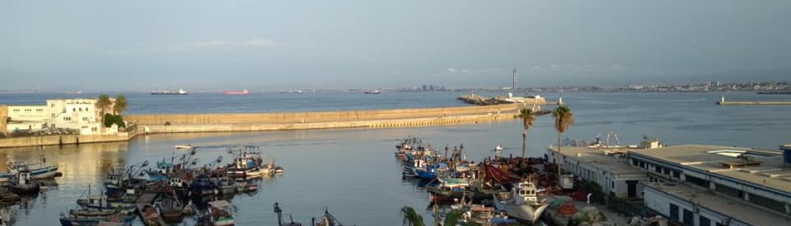 the port of Algiers, Algeria