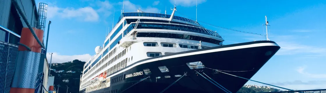 Cruise ship docked at the port of Wellington, New Zealand